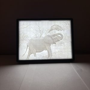 lithophane 3d foto L
